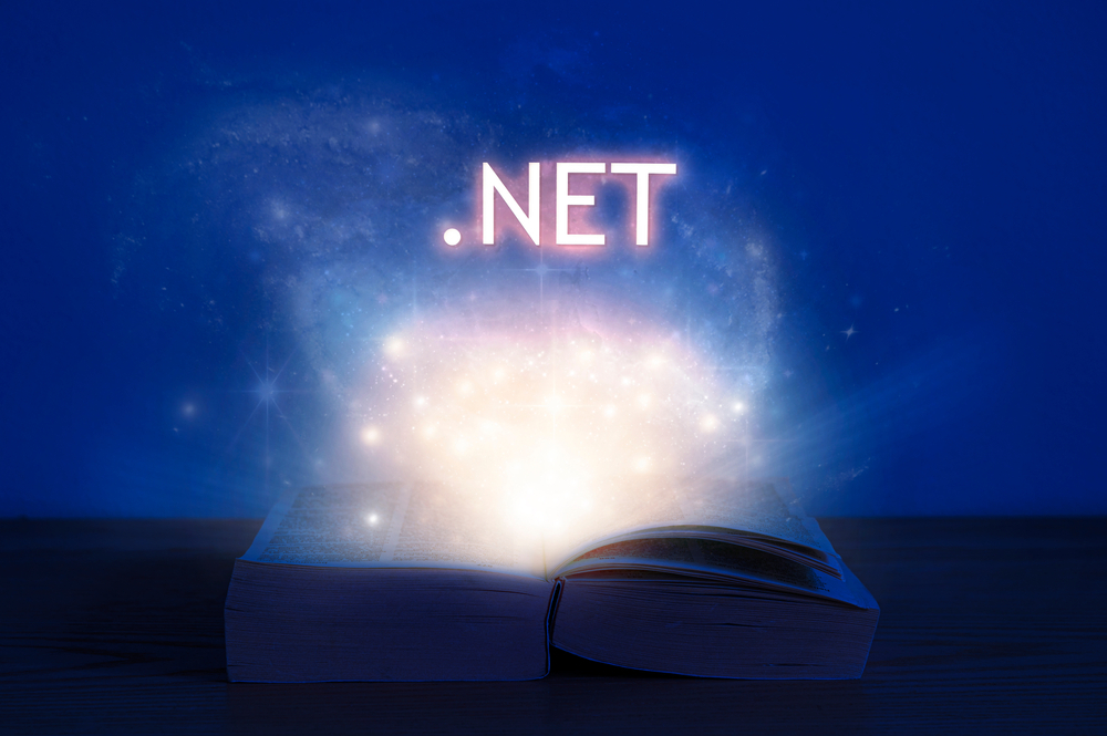 .net programming